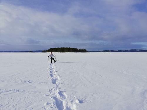 Lake Pielinen Lodges
