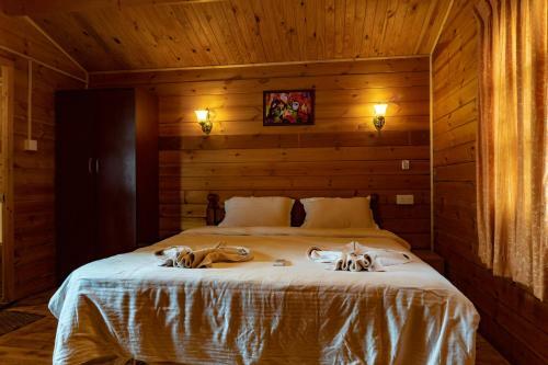 Bed & Breakfast Vista Praia