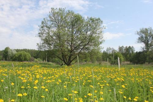 Agroturismo Chudesnye Holmy