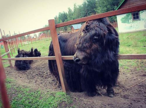 Agroturismo Usadba Stankovo