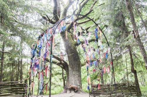 Agroturismo Usadba Stankovo