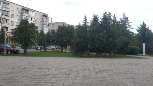 Nasutkibobr Apartment On Engelsa 90