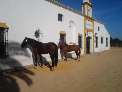 Hostal Hacienda La Indiana