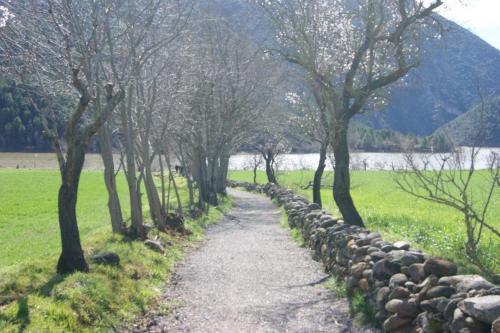 Apartamento Cal Remolins