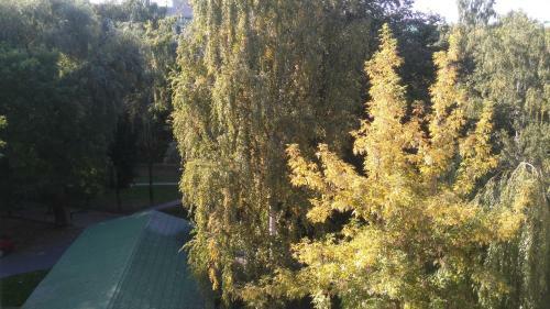 Apartment On Lenina Boulevard
