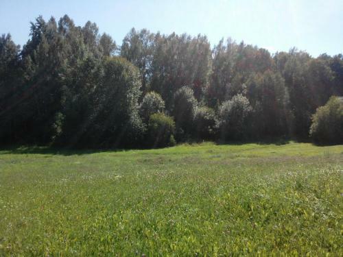 Apartamento Agrousadba Dom Lesnika