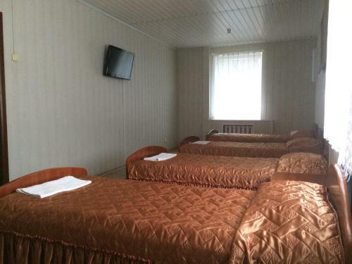 Motel Hotel V Lankovshina