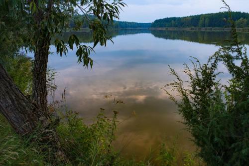 Agrousadba Belovezhskaya Svetlitsa