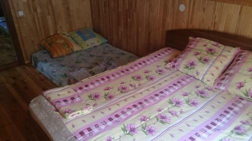Zayezd Zubachi Brest Holiday Home