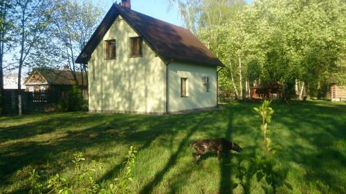 Zayezd Zubachi Brest Holiday Home
