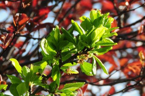 Hotel Rural Santa In�s