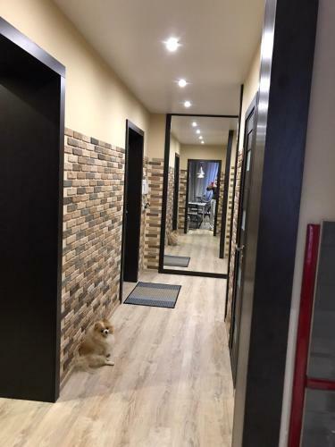Vip Apartment On Khrutskogo