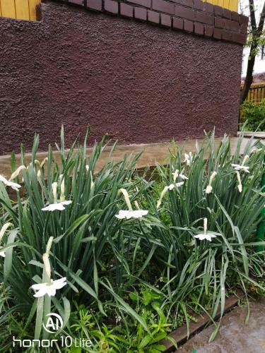 Bed & Breakfast Usadba Zapadnaya Dvina