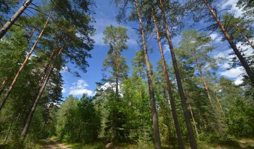 Agroturismo Selyava-otdykh