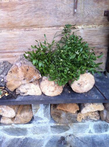 Bed & Breakfast Holiday Home Tonkina Ku?a