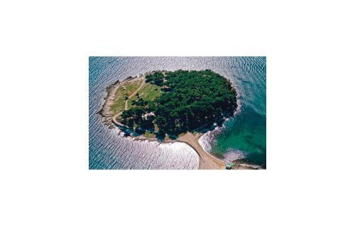 Five-bedroom Holiday Home In Medulin