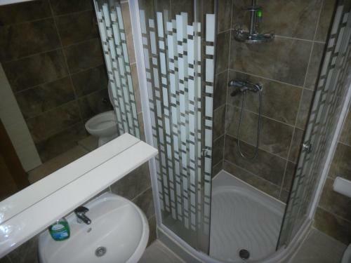 Apartment Zoran Po?esi