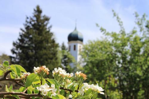 Romantik Hotel Chalet Am Kiental