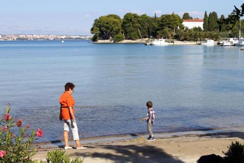 Apartments By The Sea Preko (ugljan) - 8515