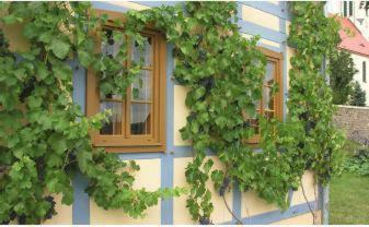 Apartamento In Der Alten Weinstube