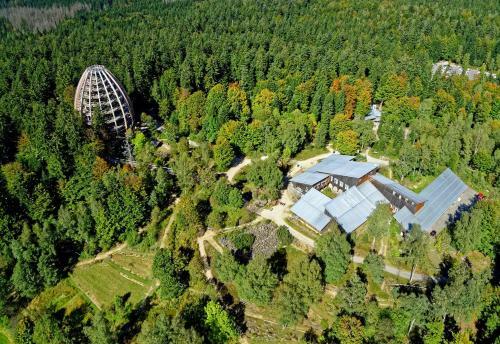 Bed & Breakfast Pension Salzs�umer
