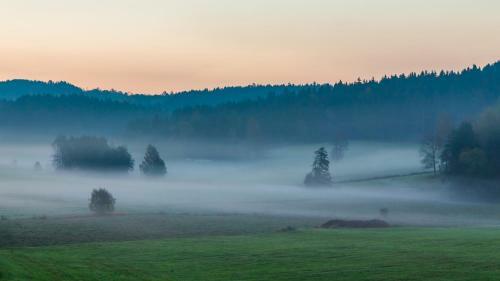 Bed & Breakfast Pension Salzs�umer