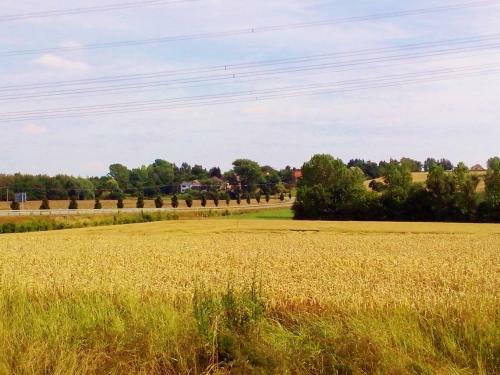 Hostal Pension & G�stehaus Villa K�hn