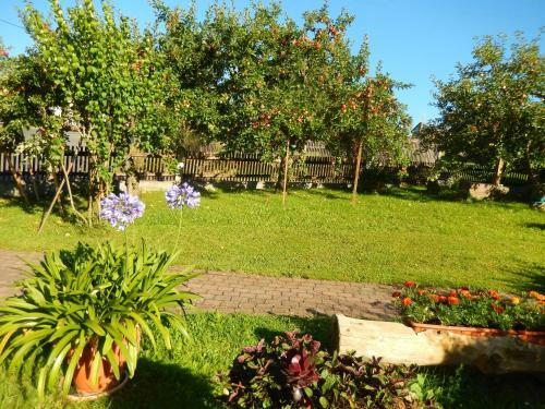 Apartamento Ferienwohnung In Der Rh�n