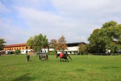 Hostal Hotel Christinenhof