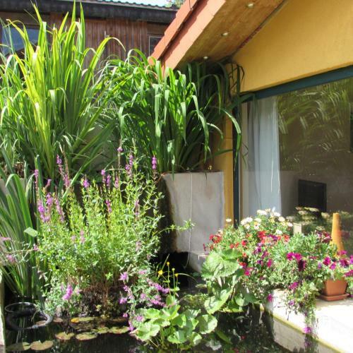 Apartamento Ferienwohnung "eifelstueffje"