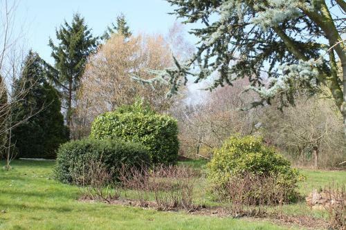 Apartamento Ferienwohnung "eifelstueffje"