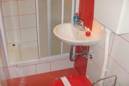 Apartment Pirovac 470b