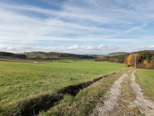 Nice Apartment With Balcony In The Bavarian Forest