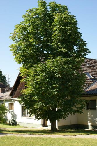 Waldhotel Stein