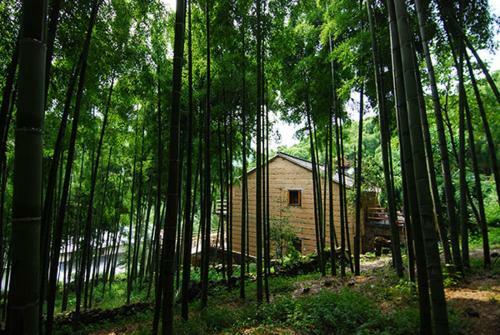 Prodigy Hostel Mogan Mountain