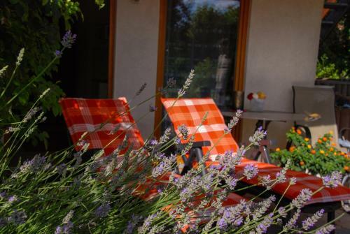 Apartamento Ferienwohnung Hameln Jasmin
