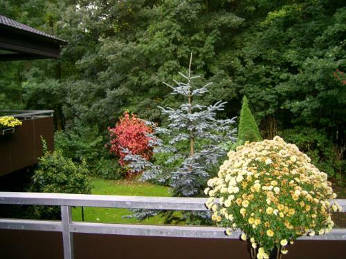 Hostal Waldpension Brake