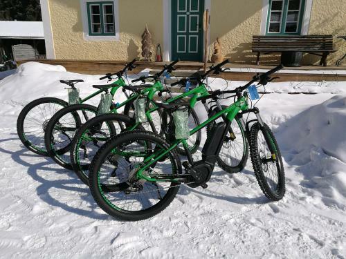 Chalets & Apartments Beim Waicher