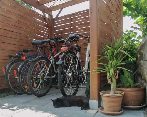 Apartamento Ferienwohnung Am Elberadweg