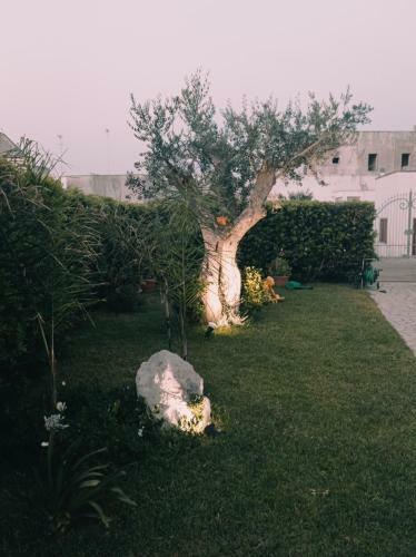 Hostal B&B Paradise