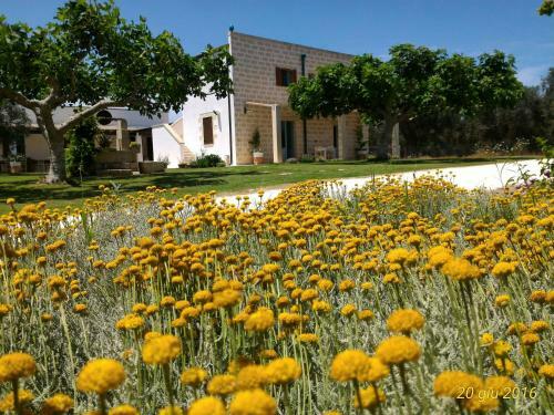 Agroturismo Masseria Vignenove