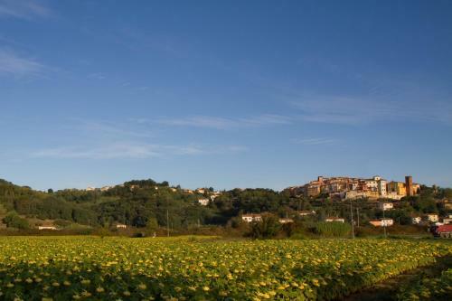 Apartamento B&B Il Ramaiolo