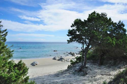 Bed & Breakfast La Pavoncella