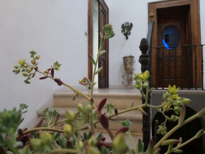 Bed & Breakfast Le Foglie Di Acanto