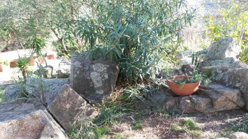 Hotel Turismo Rurale Montitundu