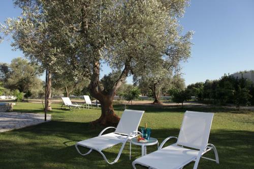 B&B Parcomonsignore
