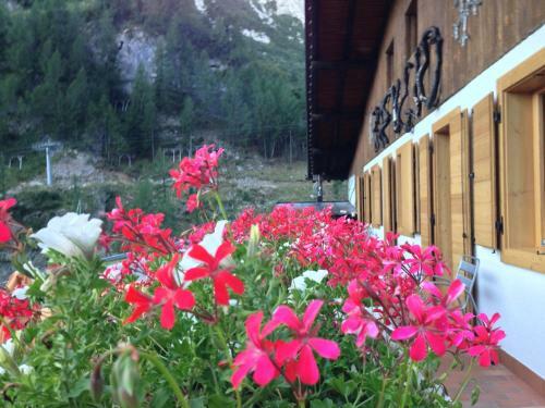Hostal Rifugio Capanna Bill