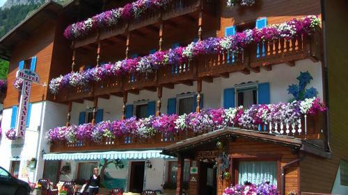 Hotel Albergo Genzianella