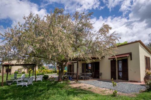 Agroturismo Agriturismo Il Canterino