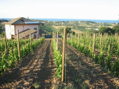 Agroturismo L'orso E L'ape B&B